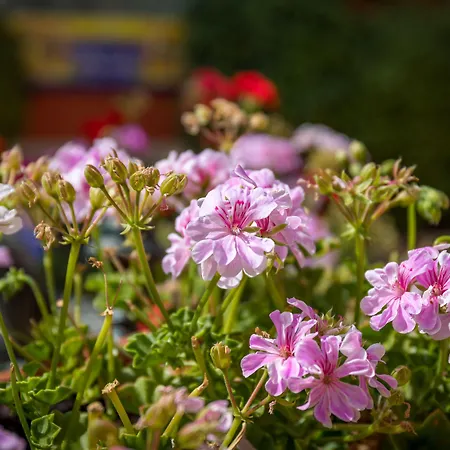 Otel Romerito Málaga
